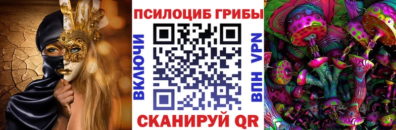 Псилоцибиновые грибы Psilocybine cubensis  Кохма 